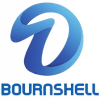 sales director