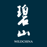 wildchina travel