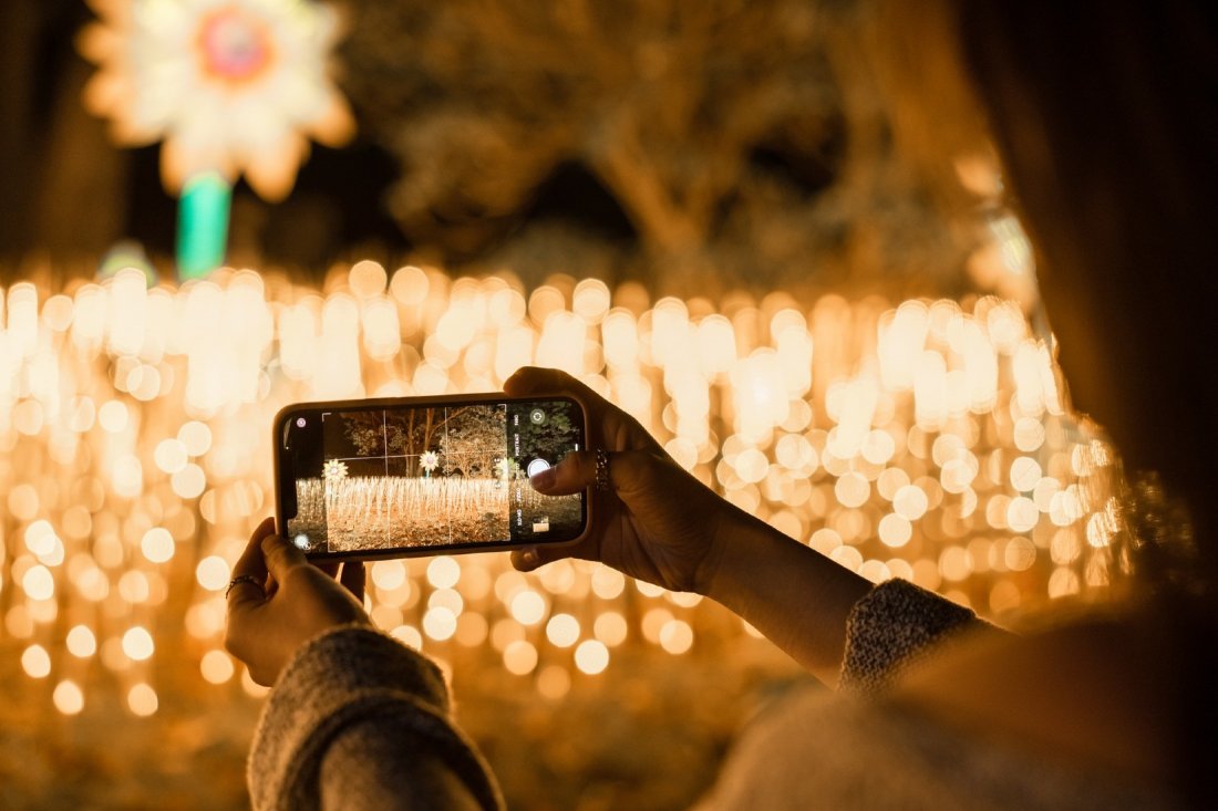 A Bugs Night DriveThru Adventure by NYC Winter Lantern Festival Nassau County Museum, 2021