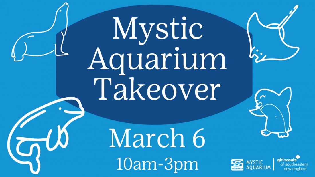 Girl Scout Aquarium Takeover Mystic Aquarium March 6, 2022