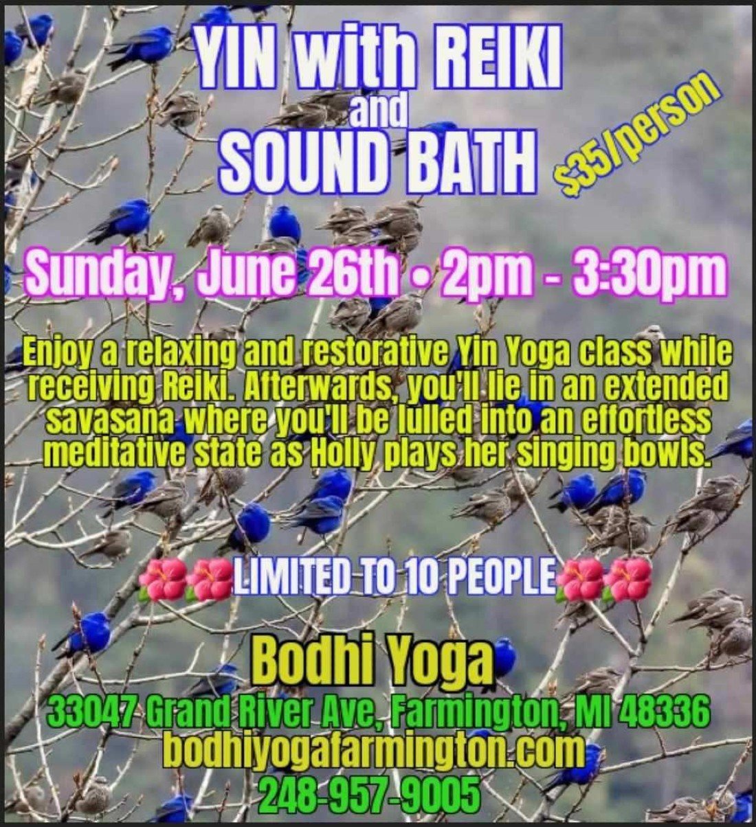 Yin with Reiki and Sound Bath