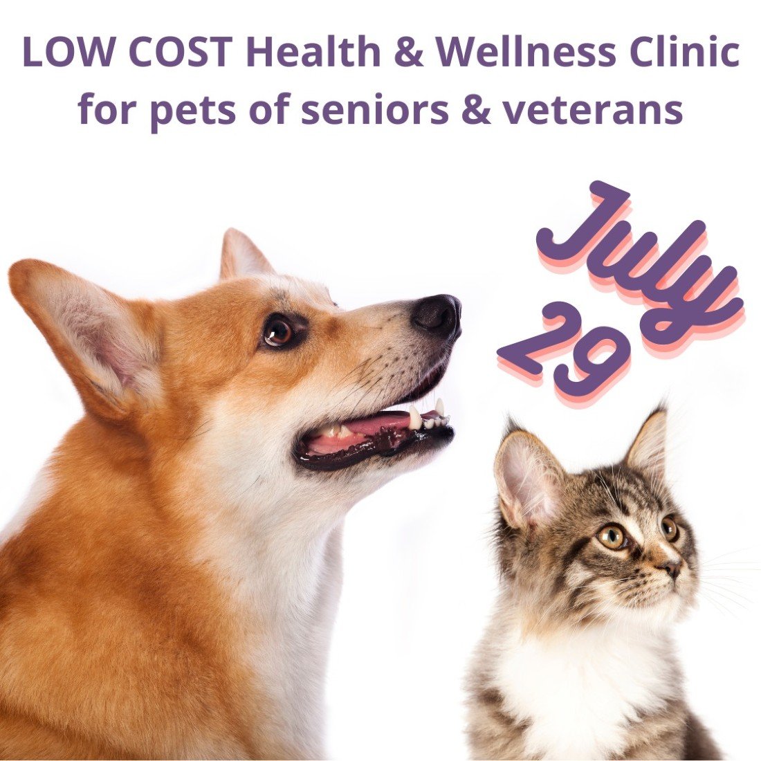 Low Cost Wellness Clinic for Pets of Seniors and Veterans Elmwood