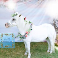 End of the Rainbow Events LLC