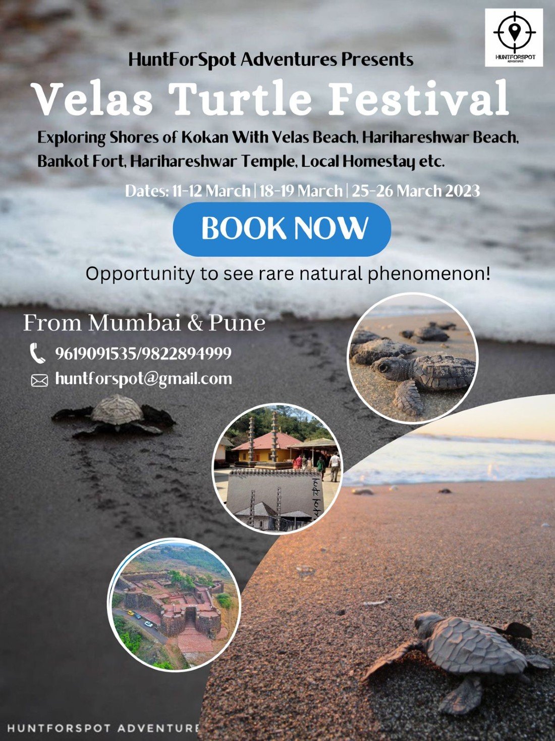 Velas Turtle Festival 2023 - From Pune & Mumbai Tickets at Velas Beach ...