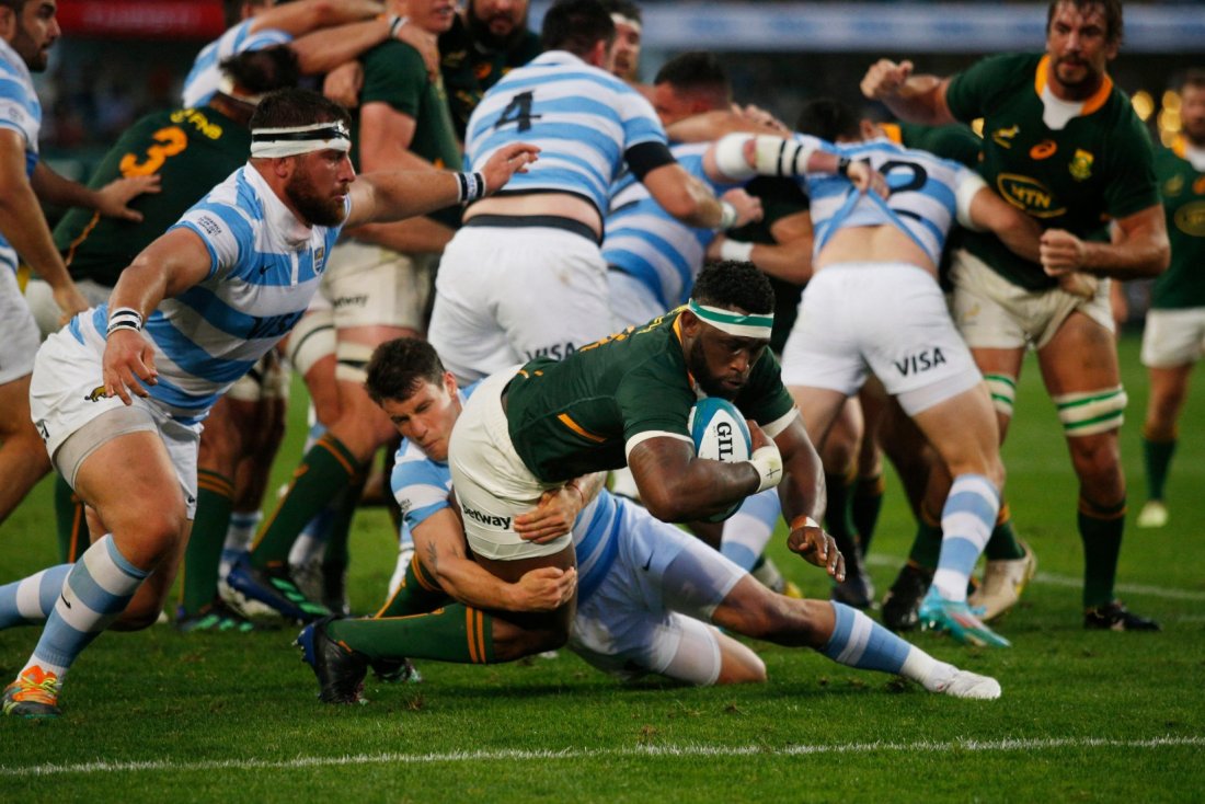 Springboks Vs Argentina Park And Ride Transport Shuttles And Party Bus 