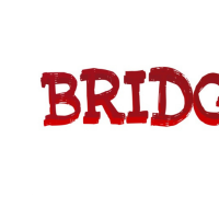 Bridge X Media & Production
