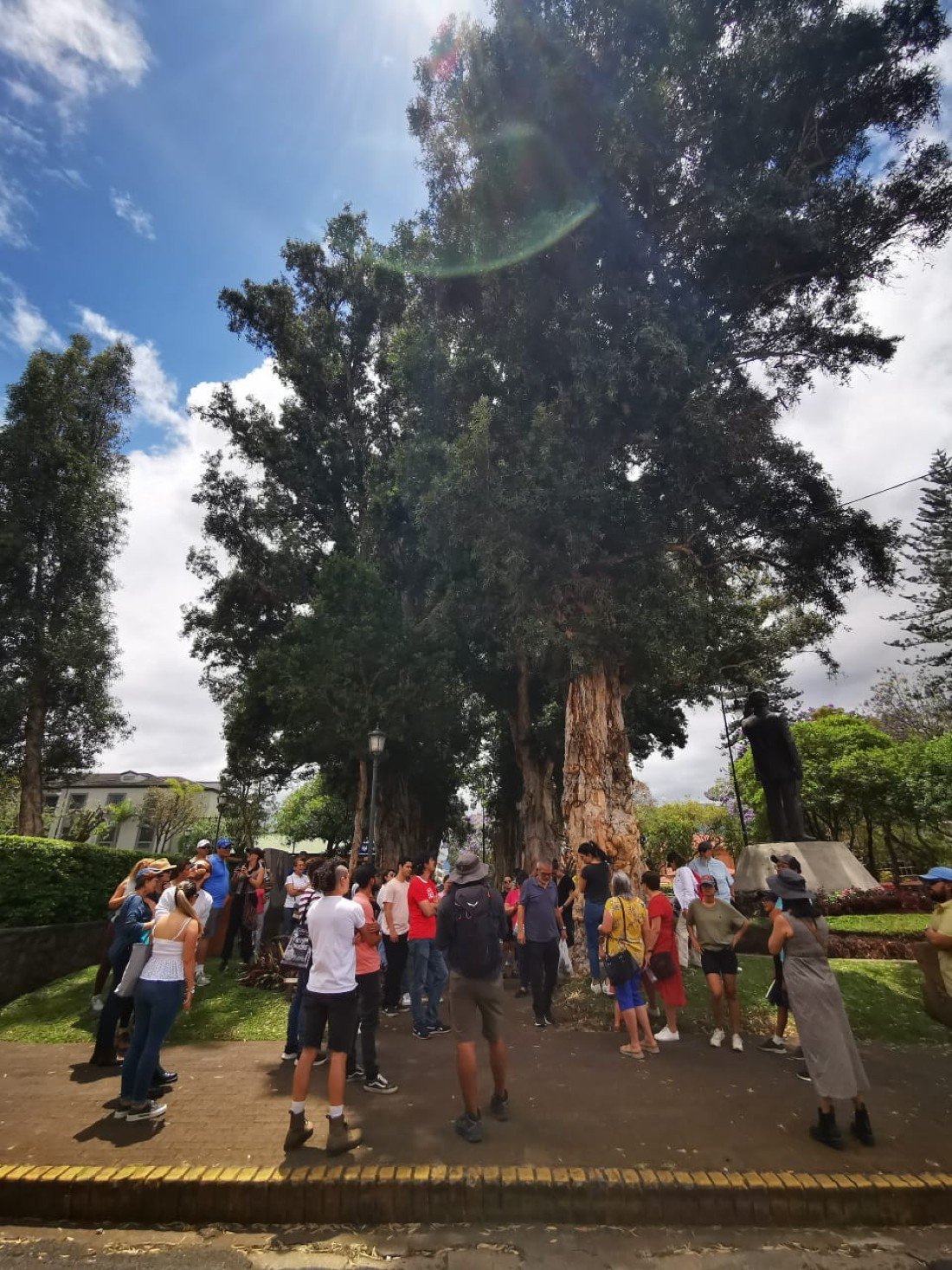 Safari de Domingo: Aves e Historias de San Jos\u00e9