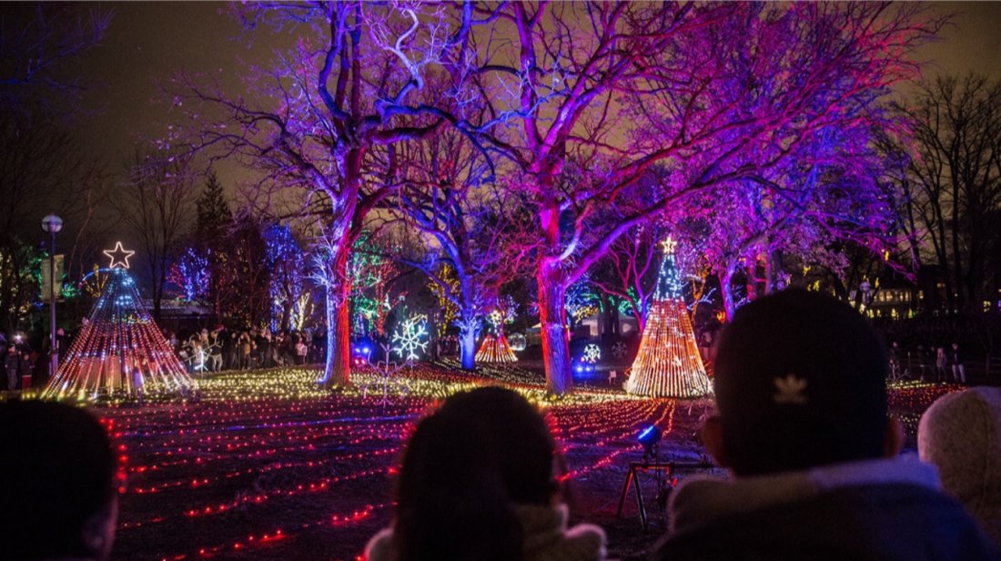Lincoln Park Zoolights 2025