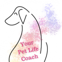 Your Pet Life Coach