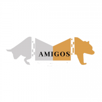 Amigos Stock Academy