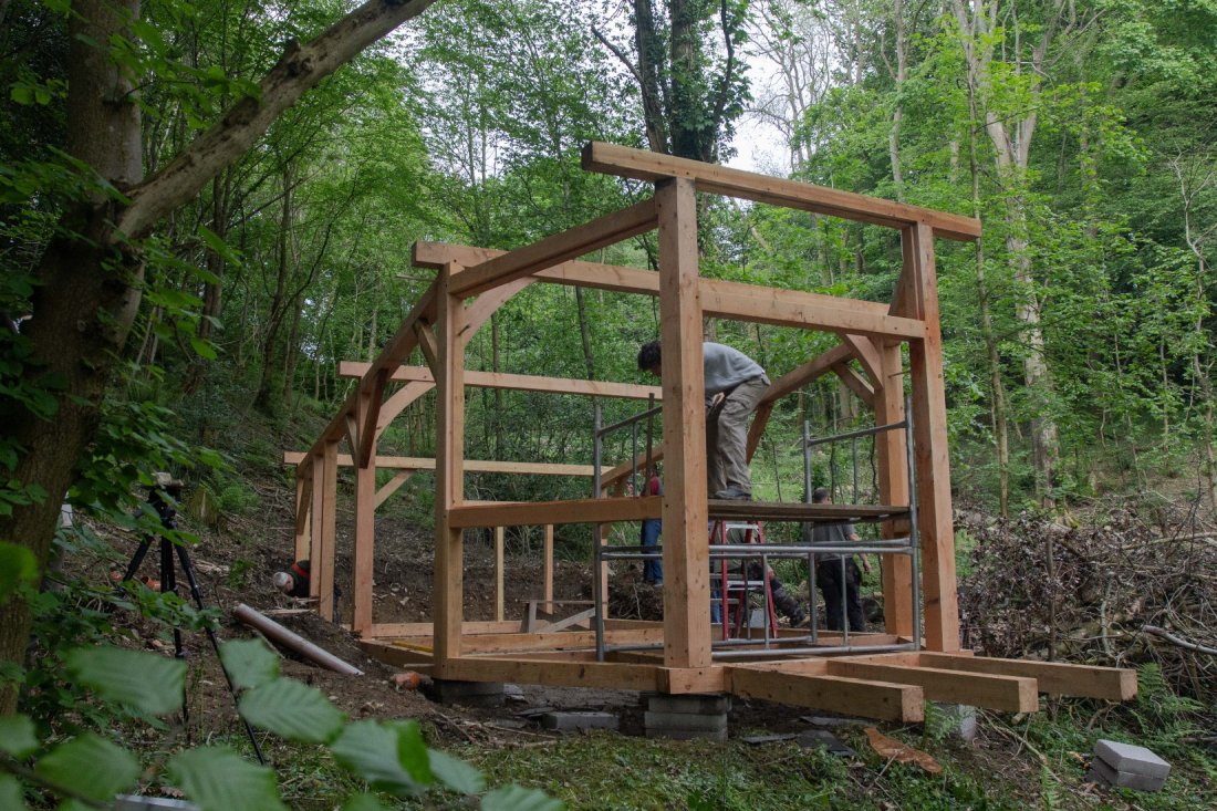 Timber Framing Course - Tree Tops and Train Tracks