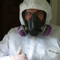 Mississauga Mold Removal