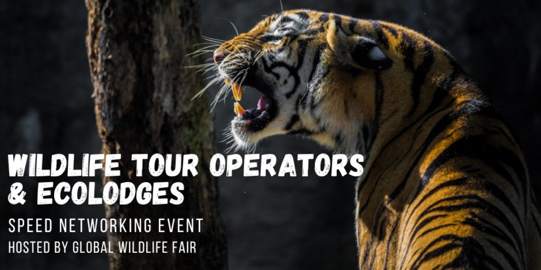 Wildlife Tour Operators & Ecolodges Speed Networking Event