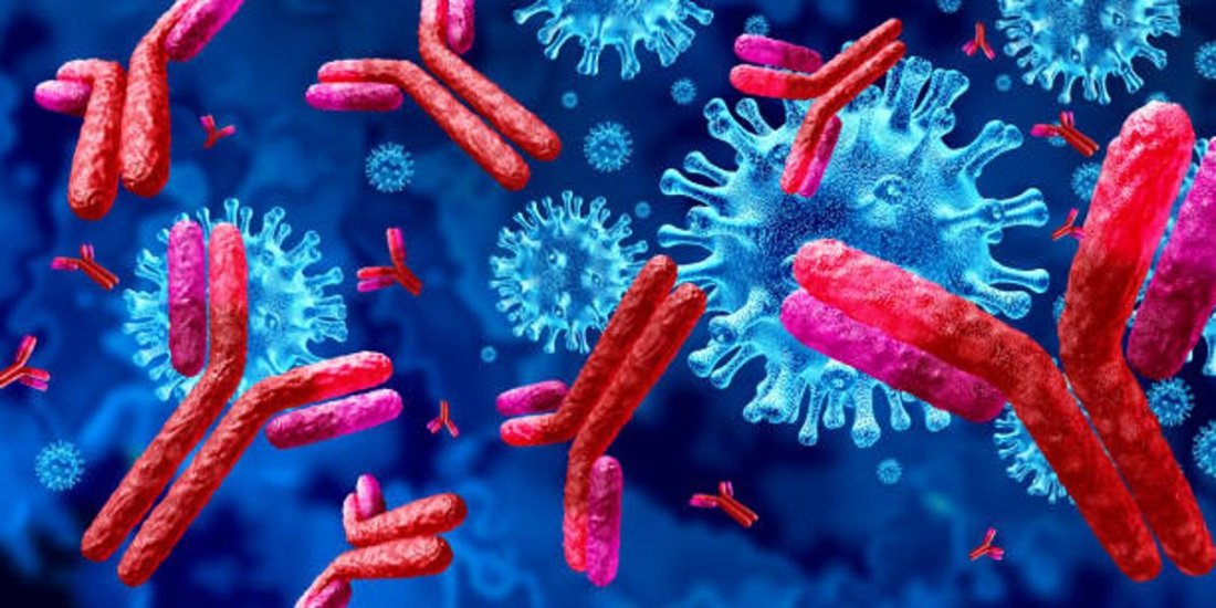 World Meet on Vaccines and Immunology(WMVI2025)