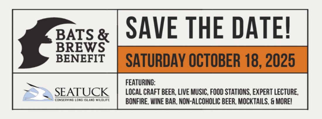 Bats & Brews Benefit