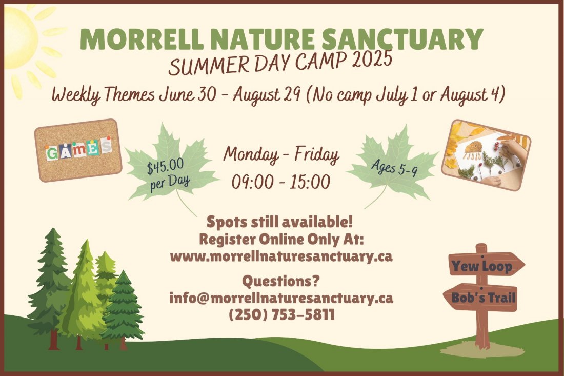 Summer Day Camp