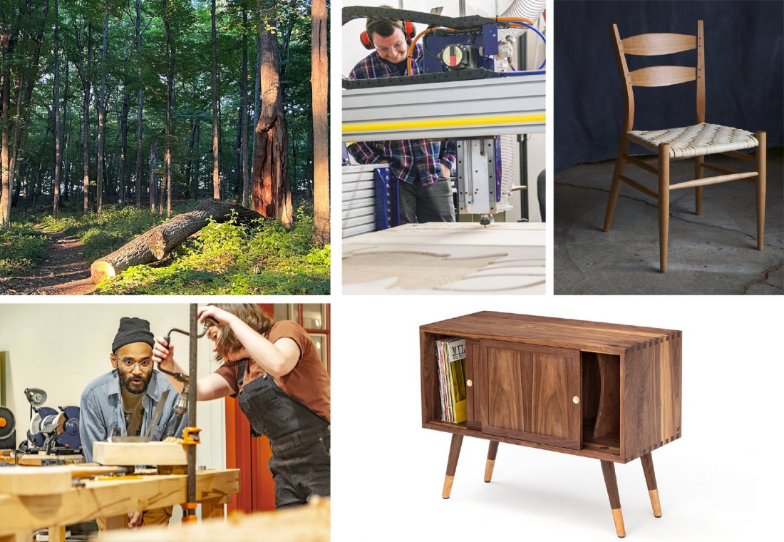 From Forest To Woodshop: An 8-Week Woodworking Intensive
