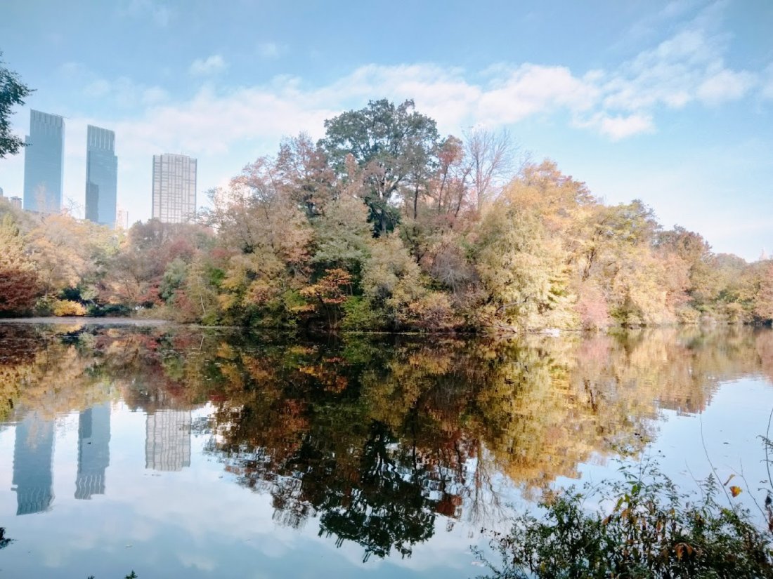 Central Park Scandal & Vice Tour