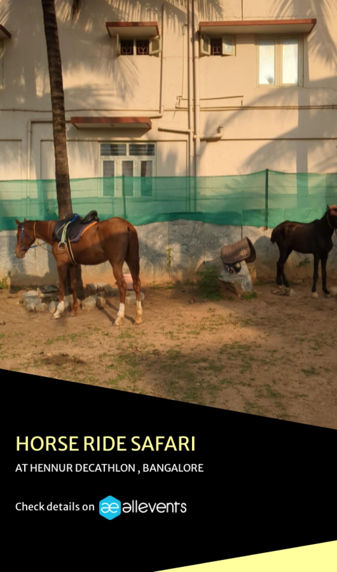 Horse Safari trail bangalore