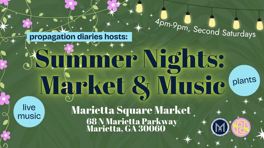 Summer Night Market Series - Marietta Square Market