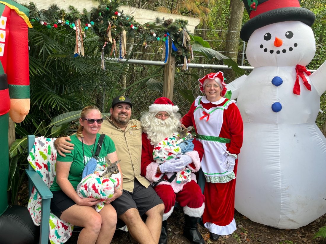 Christmas in the cloud