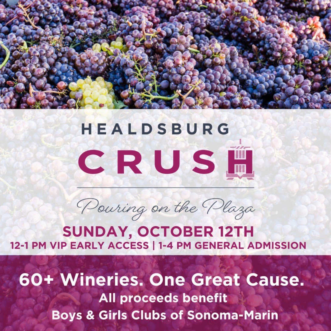 Healdsburg Crush: Pouring on the Plaza