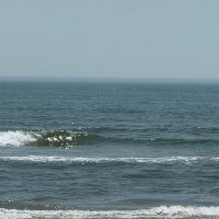 The Next Wave Ministries