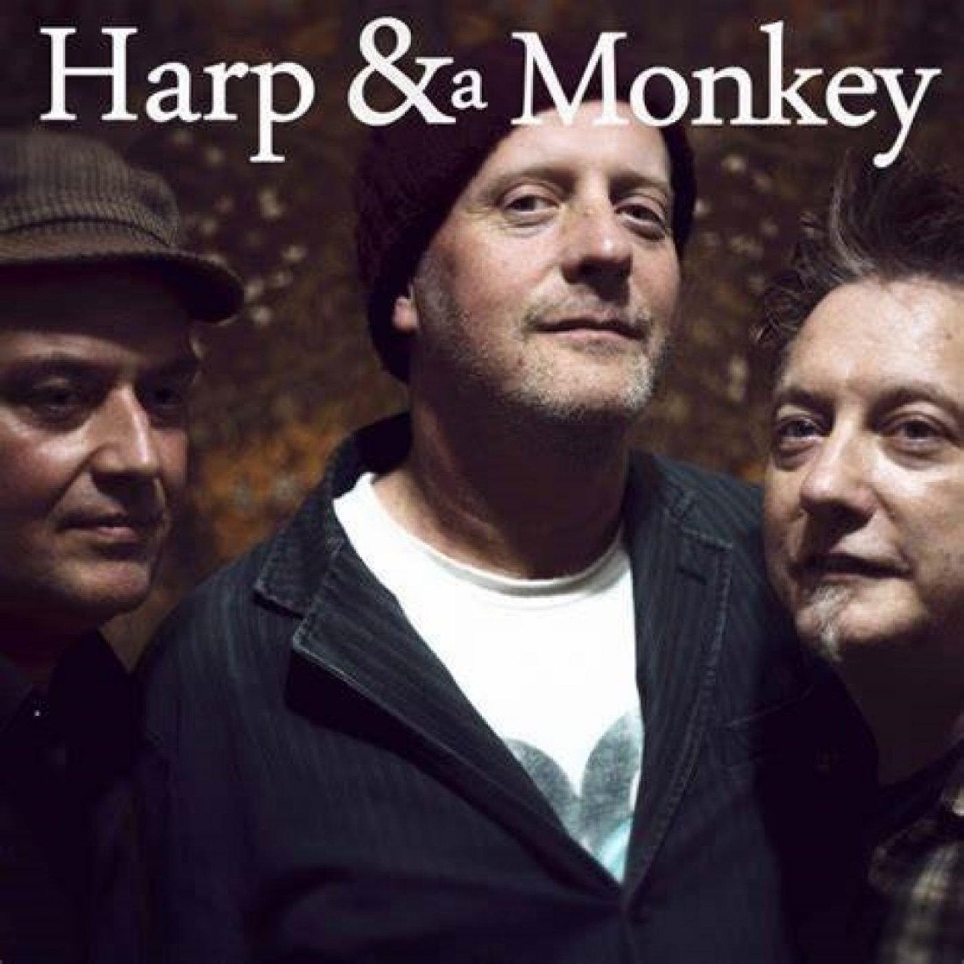Oswestry Folk - Harp &a Monkey