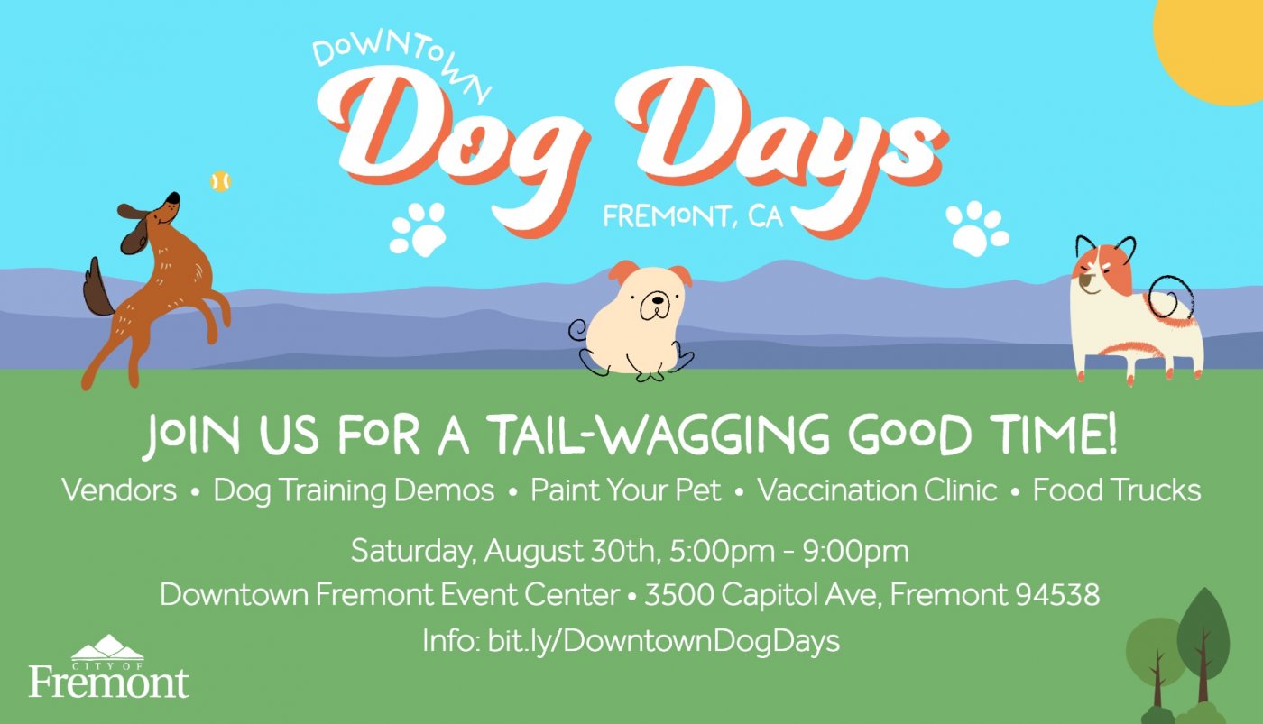 Downtown Dog Days
