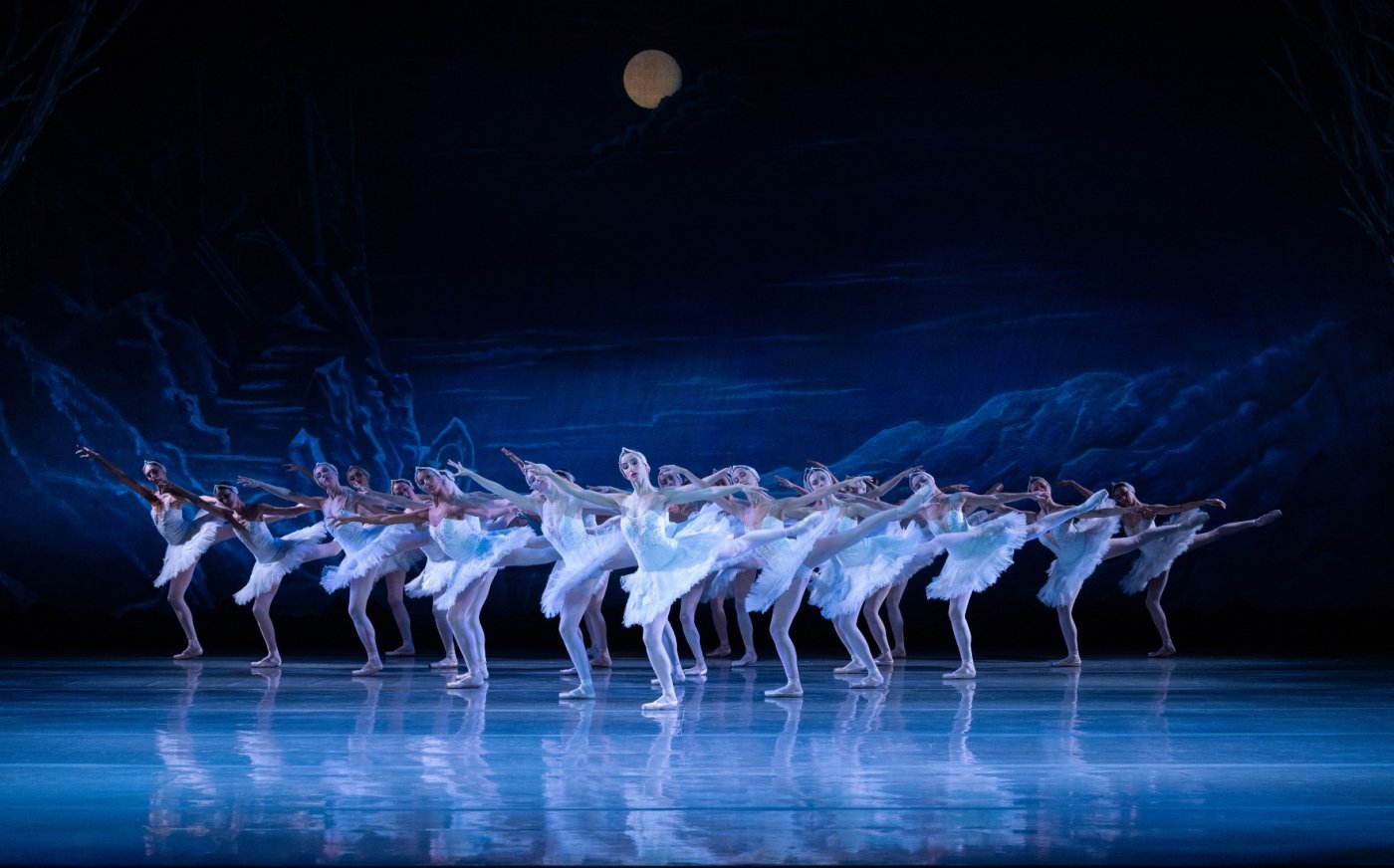 Swan Lake at MBS