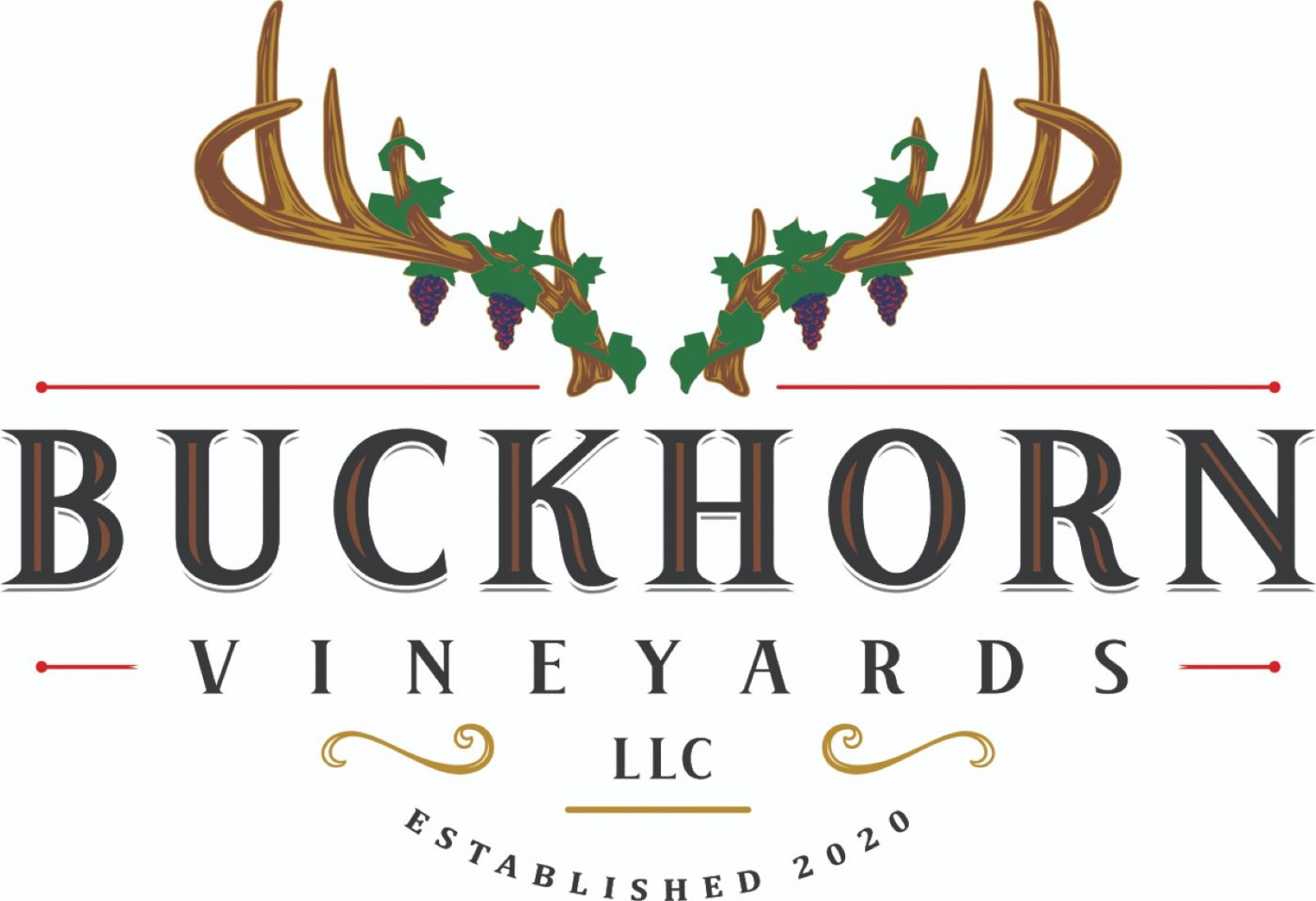 Intro to Wine Tasting