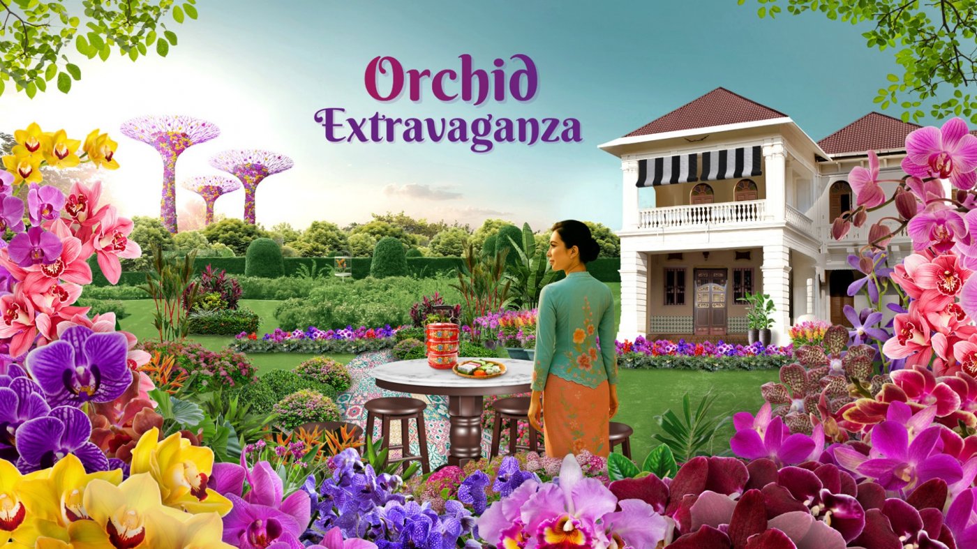 Orchid Extravaganza 2025