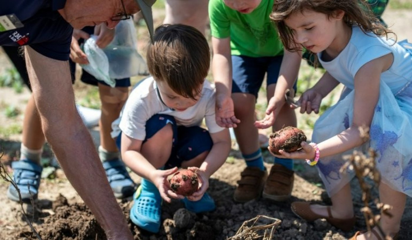 Potato Farm Day