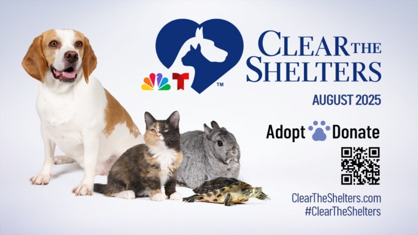 The San Francisco SPCA Joins NBCUniversal's 11th Annual Clear The Shelters Campaign