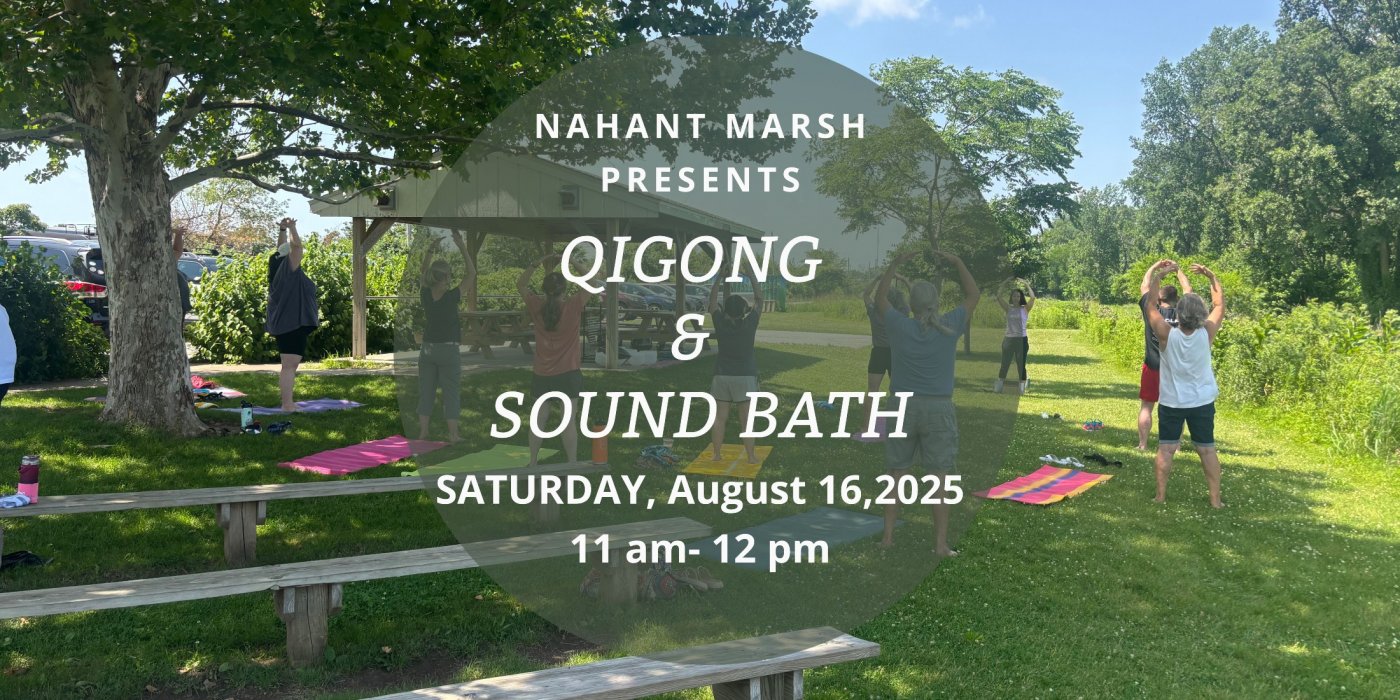 Qigong & Sound Bath at Nahant Marsh
