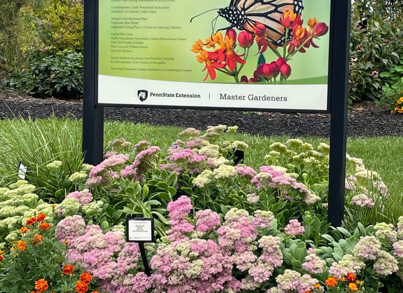 Pollinator Festival at the Adams Ricci Butterfly Garden