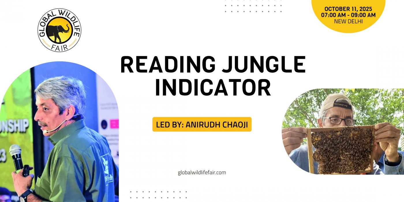 Reading Jungle Indicators