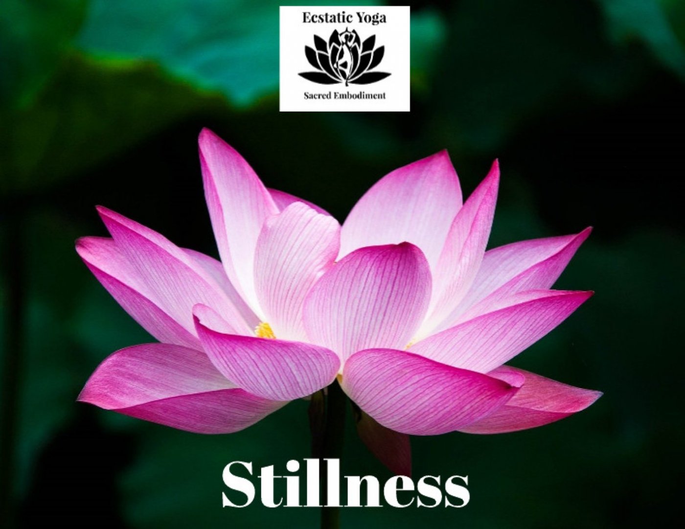 Ecstatic Yoga 3 Day Stillness Retreat