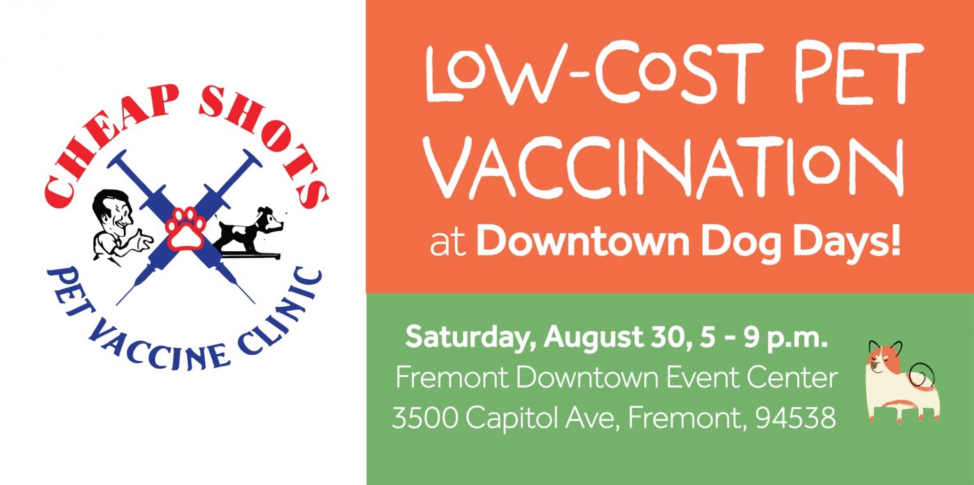 Low-Cost Pet Vaccination Clinic