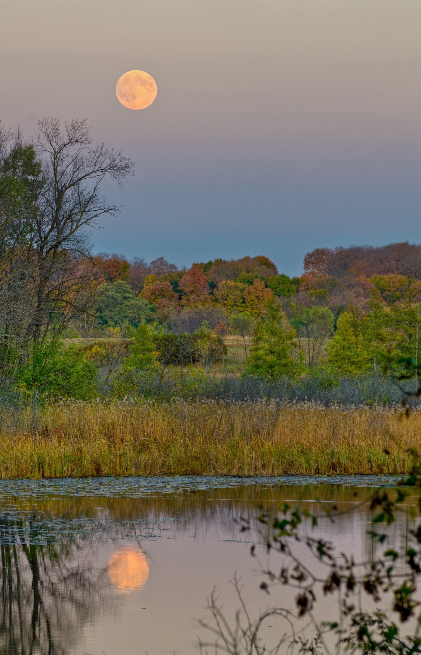 Full Hunters Moon Hike