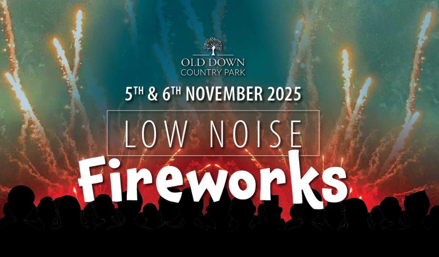 Low Noise Fireworks
