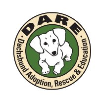 Dachshund Adoption Rescue and Education (DARE)