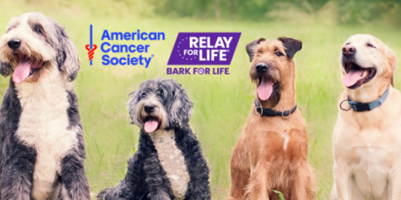 Bark For Life of Lancaster County