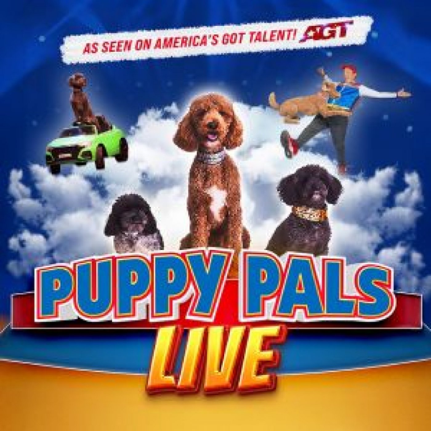 Puppy Pals LIVE