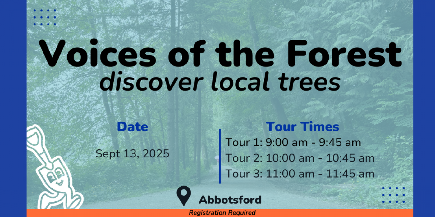 Voices of the Forest