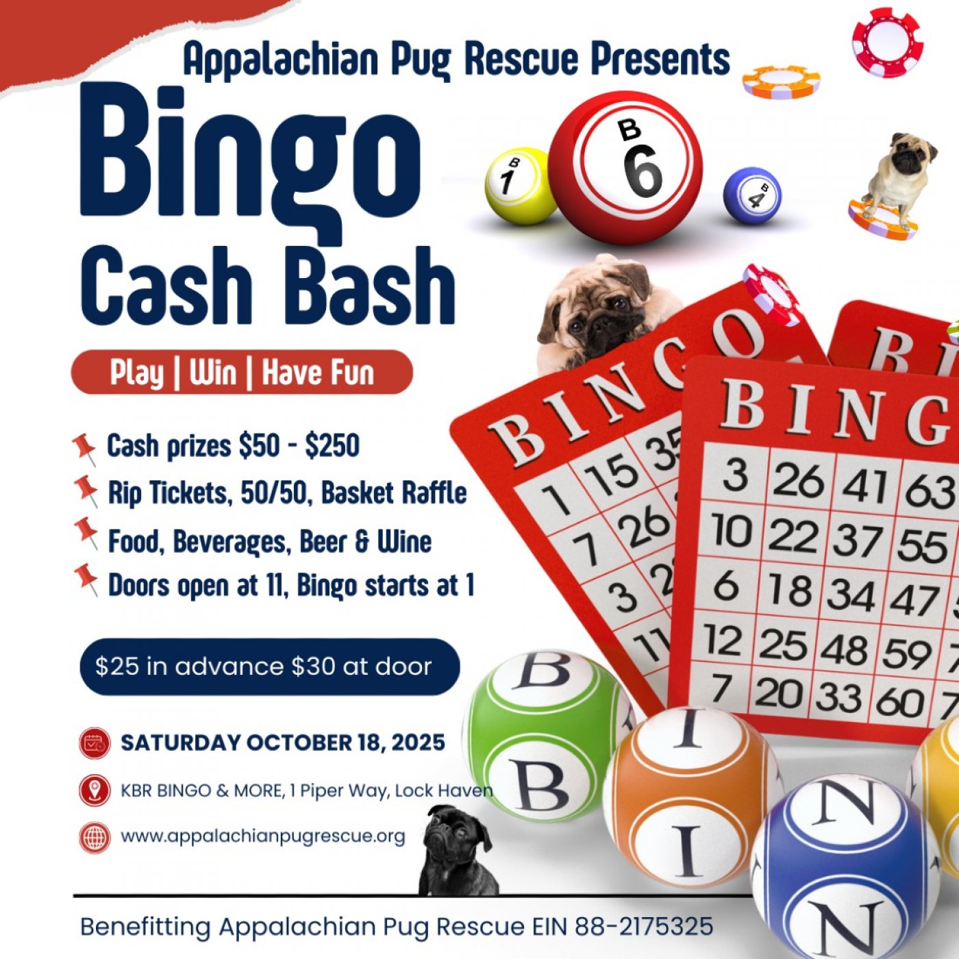 Cash Bash Bingo to Benefit Appalachian Pug Rescue