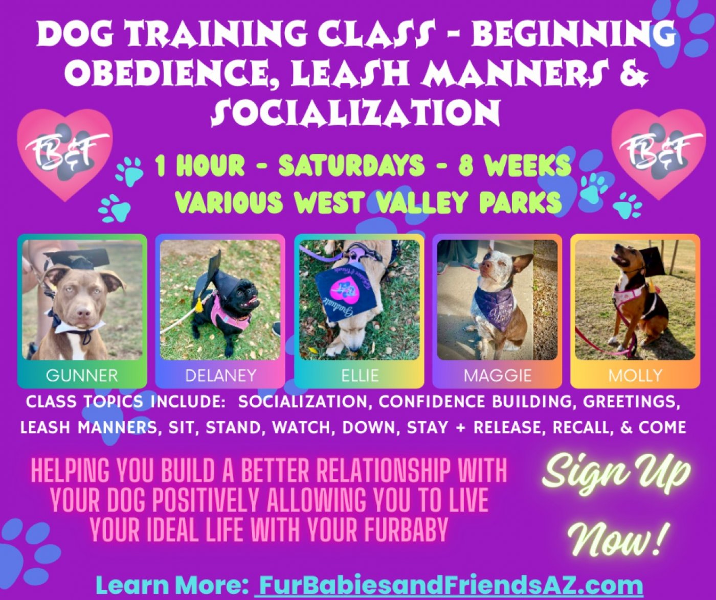 Dog Training Beginner Obedience and Leash Manners Group Class - 8 Weeks - $350