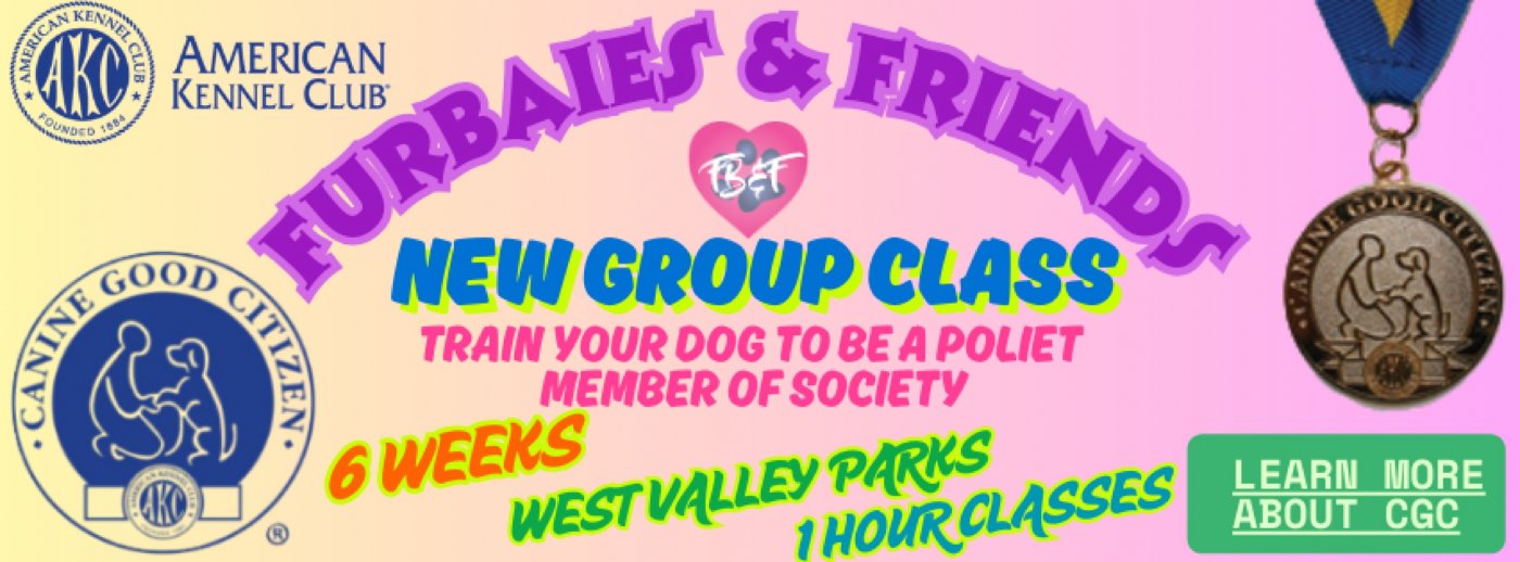 Canine Good Citizen CGC Group Dog Training Class & Test - 6 Weeks - $250