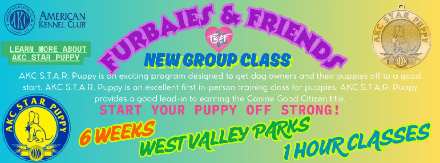 AKC STAR Puppy Group Puppy Training Class 1 - 6 Weeks - $250