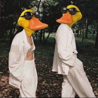 we are duck house